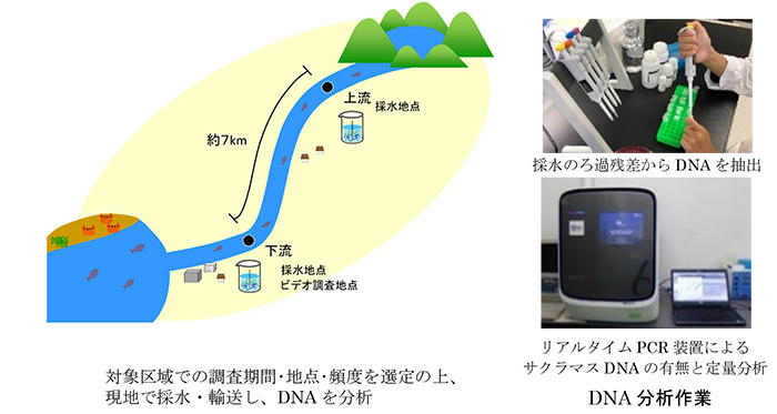図1 サクラマスのモニタリング調査概要